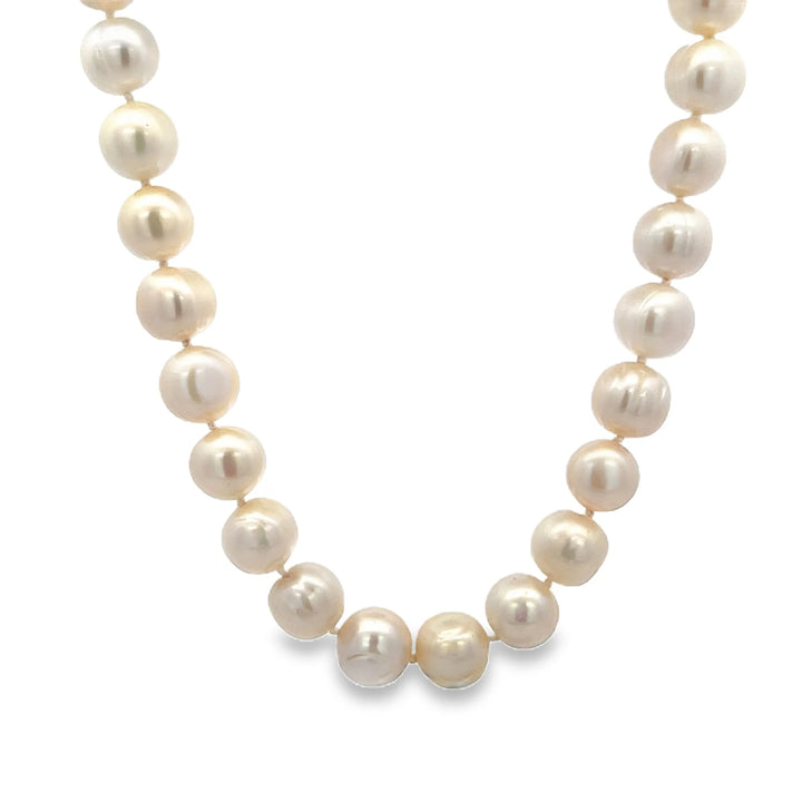 Fresh Water Pearl Necklace 10MM