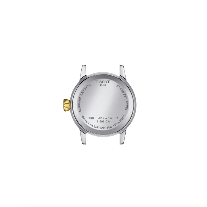 Classic Dream Stainless Steel and Yellow Gold PVD 28MM Watch