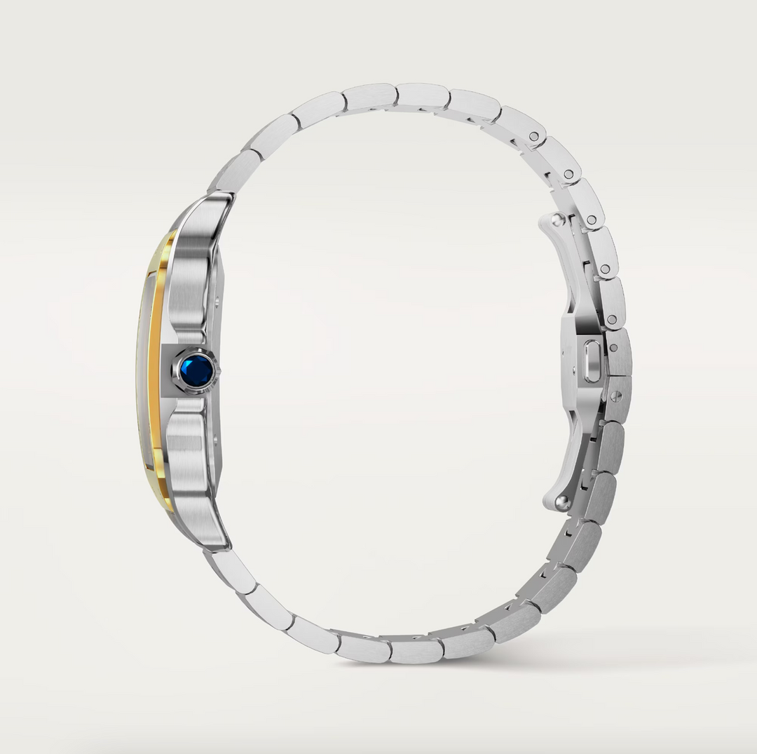 Santos Steel and Yellow Gold Large Model