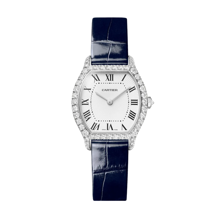 Tortue Small Model