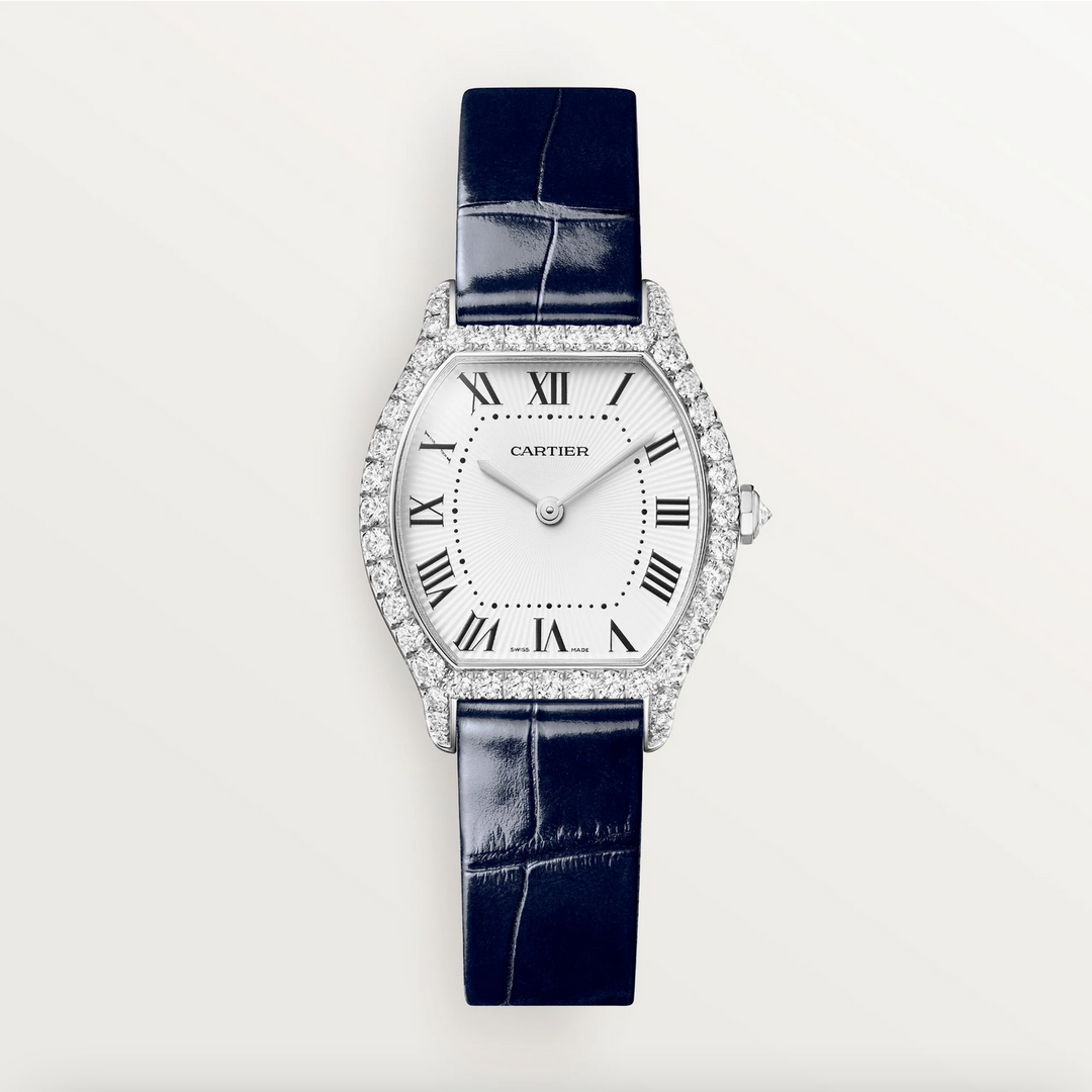 Tortue Small Model