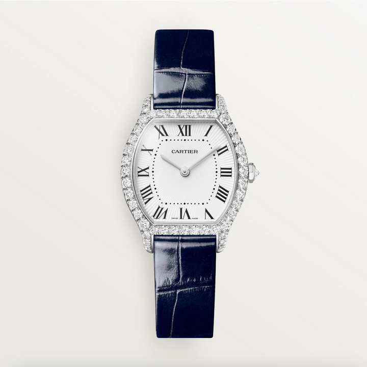 Tortue Small Model