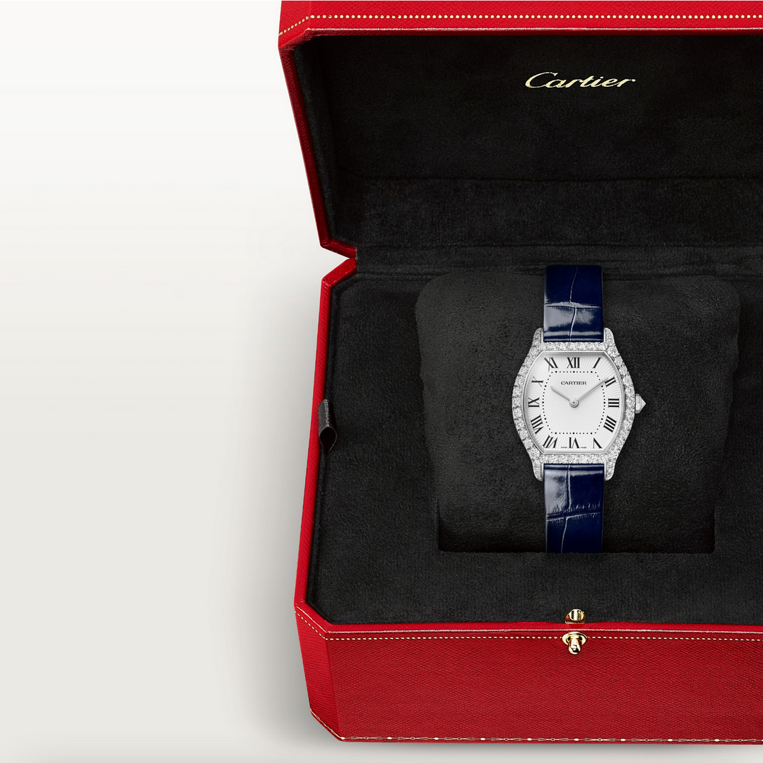 Tortue Small Model