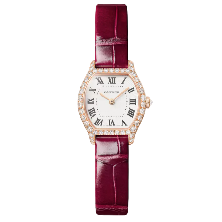 Tortue Mini Model