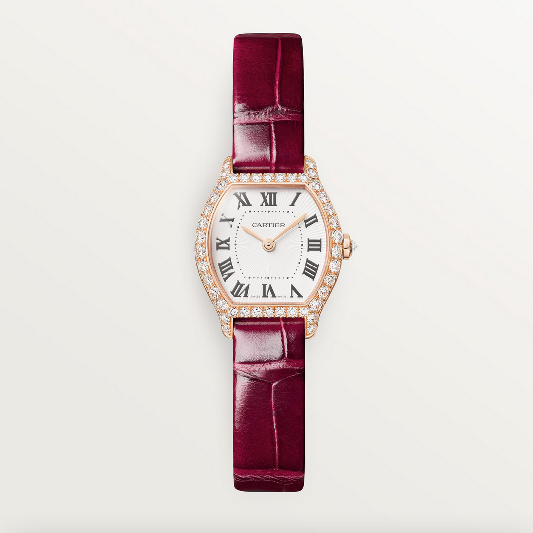 Tortue Mini Model