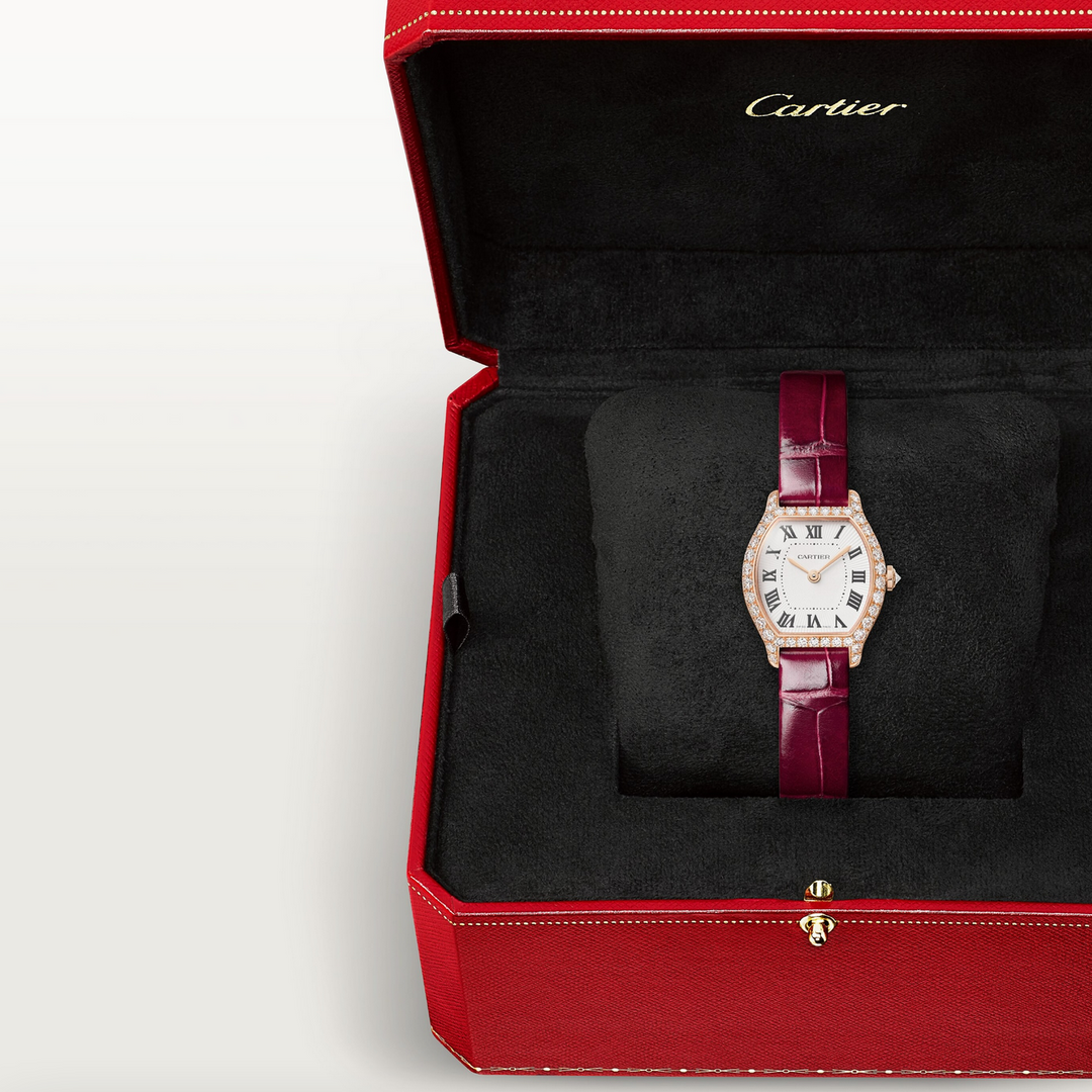 Tortue Mini Model