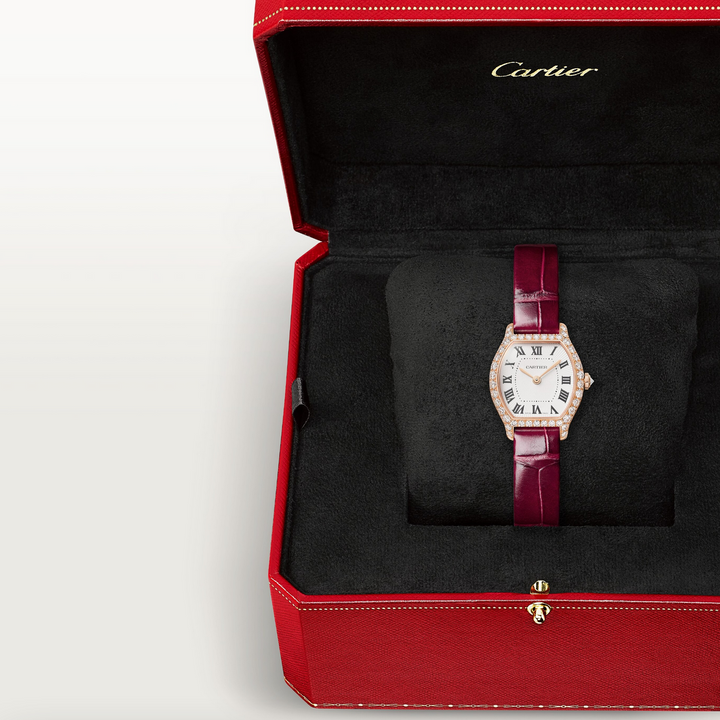 Tortue Mini Model