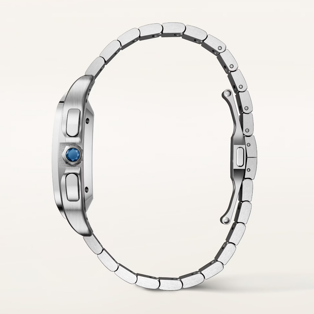 Santos Large Model