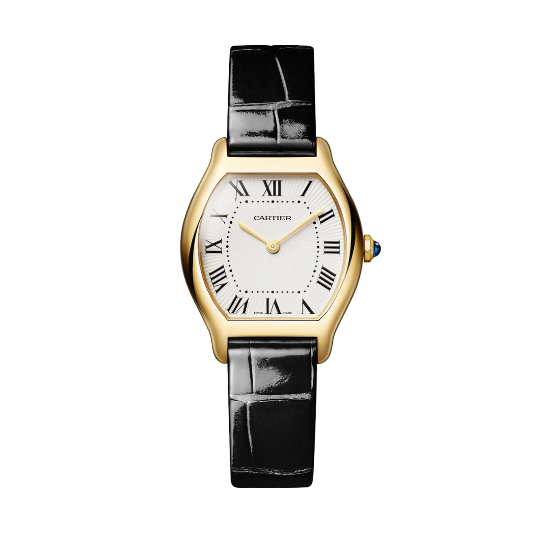 Tortue Small Model