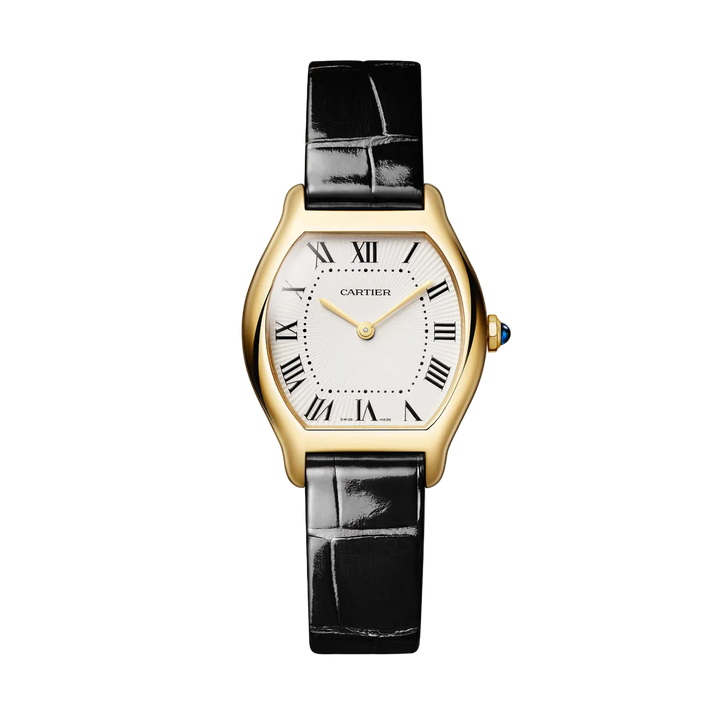 Tortue Small Model