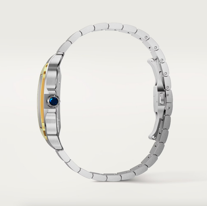 Santos Steel and Yellow Gold Large Model