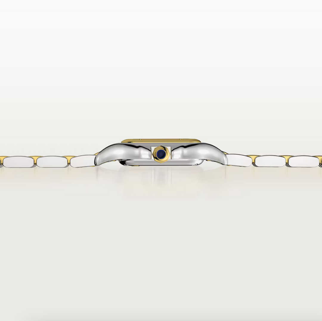 Panthère Steel and Yellow Gold Small Model