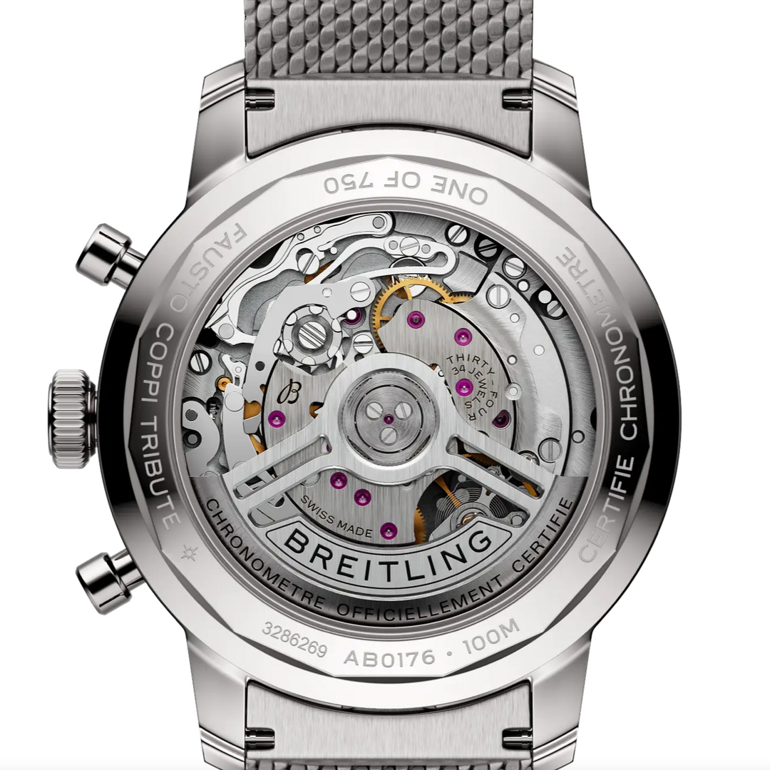 Top Time B01 Fausto Coppi Mint 41MM Watch