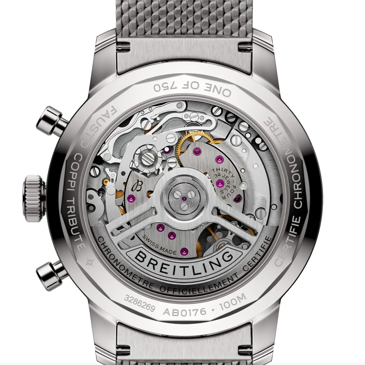 Top Time B01 Fausto Coppi Mint 41MM Watch