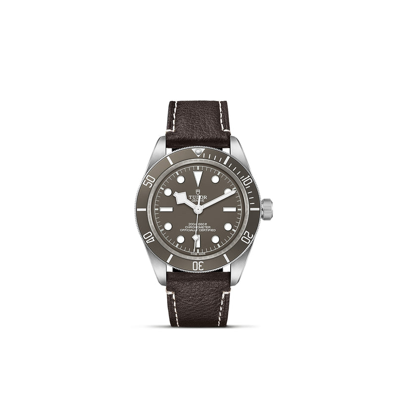Black Bay 58 925 [M79010SG-0001]