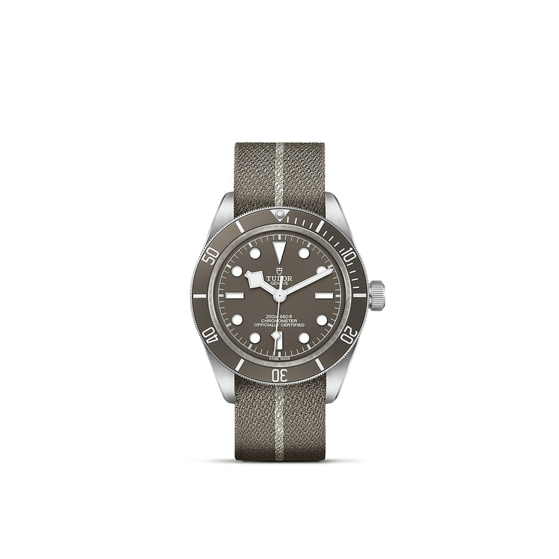 Black Bay 58 925 [M79010SG-0002]