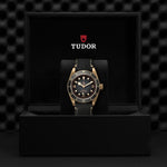 Black Bay Bronze [M79250BA-0001] - Back view
