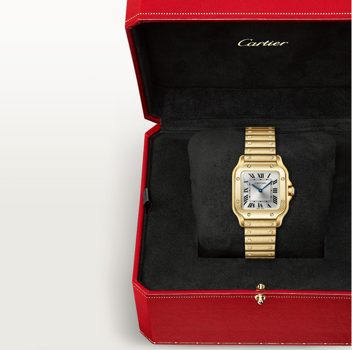Santos Yellow Gold Small Model