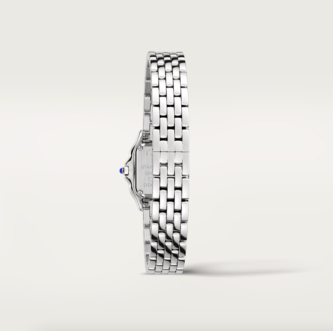 Panthère Steel Mini Model