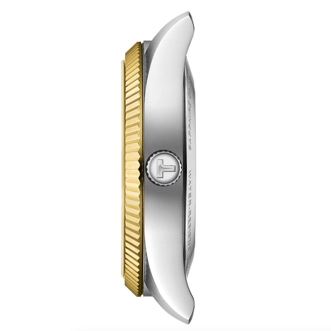 Ballade Stainless Steel and Yellow PVD 39MM Watch