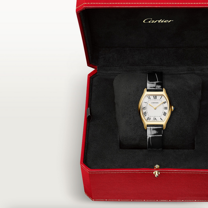 Tortue Small Model