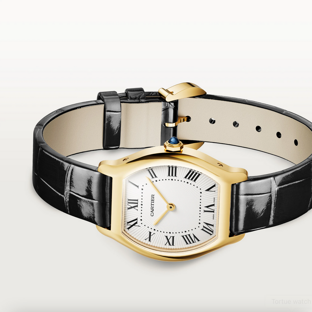 Tortue Small Model